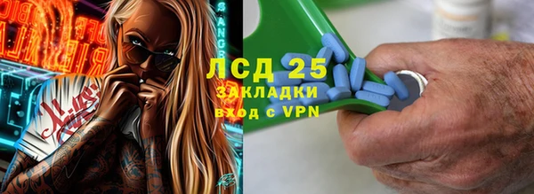 PSILOCYBIN Осташков
