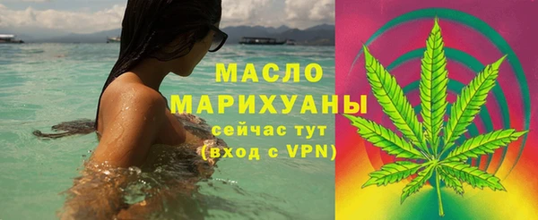 индика Цивильск