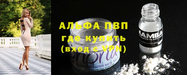 дживик Осинники