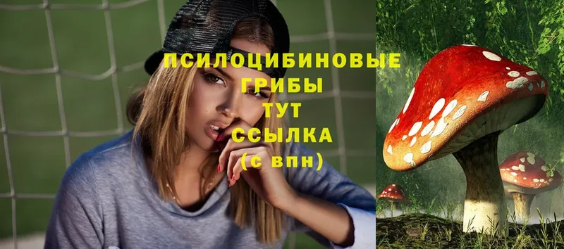 купить наркотик  Фёдоровский  Галлюциногенные грибы MAGIC MUSHROOMS 